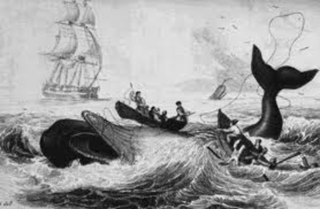 African Americans go whaling
