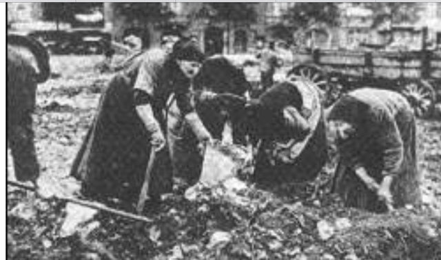 The French Wanted Revenge