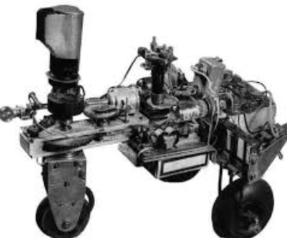 Tortue cybernétique