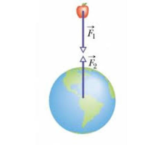 Newton avastab gravitasiooniseaduse