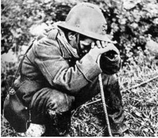 Groundwork of Novils