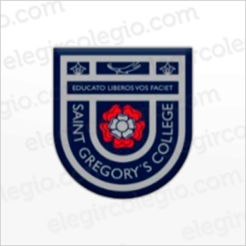 anna entro a la primaria