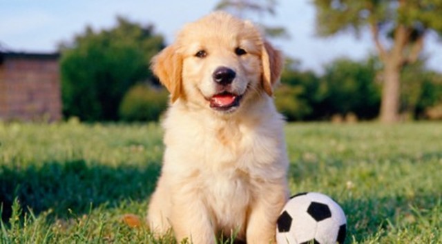 llego nala a la flia. de martu