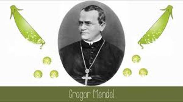GREGOR MENDEL