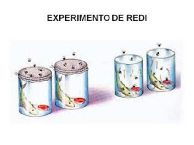 Experimento de Redi
