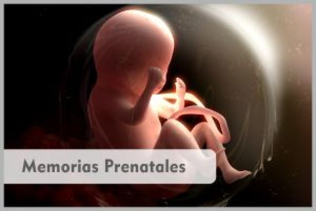 Siglo XVIII a Siglo XXI