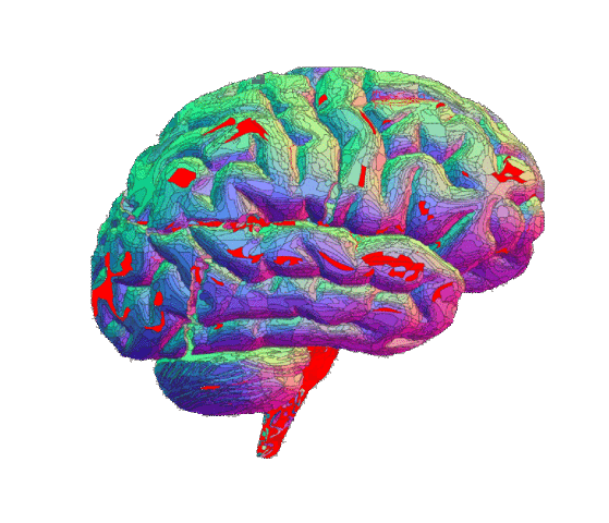 La década del cerebro