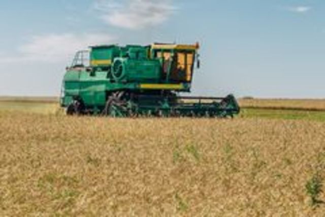 Segador de trigo mecánico