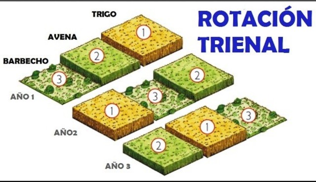 la rotación trienal