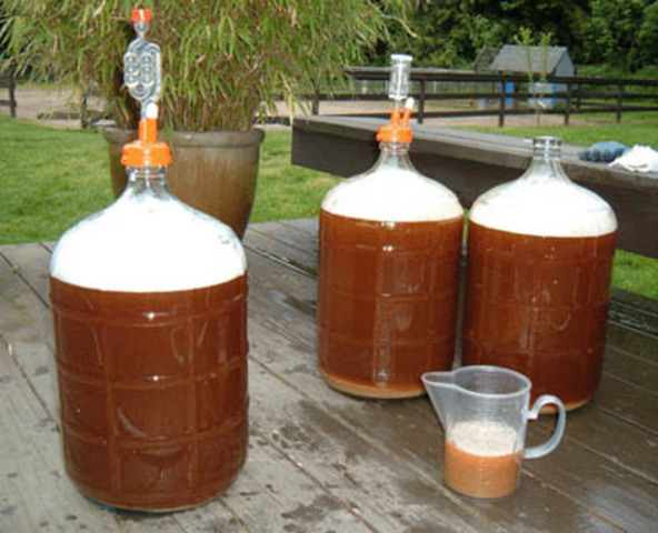 Industrias Caseras intentan replicar cerveza Europea