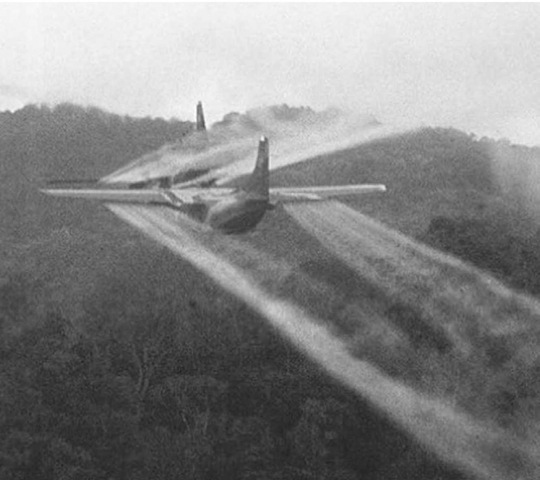 Operation Ranch Hand