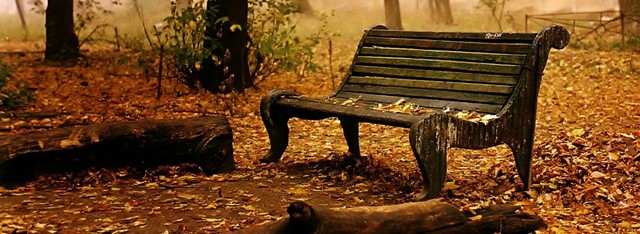 rutina de fermina y florentino