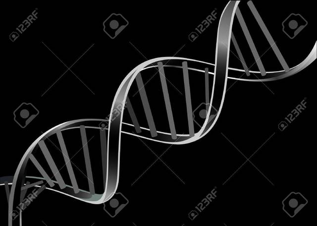 Pruebas con Bacterias