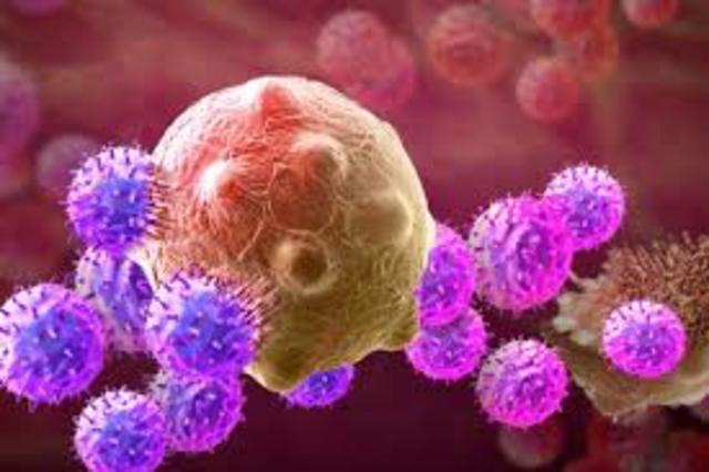 Mi mamá fue diagnosticada con cáncer