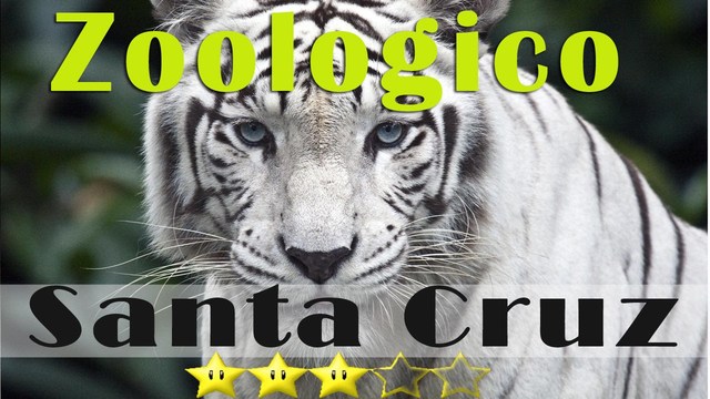 Ir por primera vez a un Zoologico