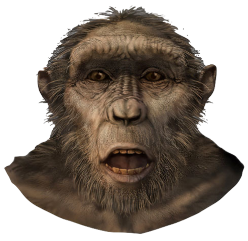 Sahelandthropus Tchadensis