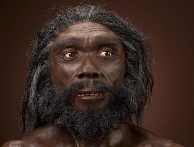 Homo heidelbergensis