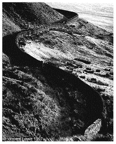 The Land Enclosure Movement