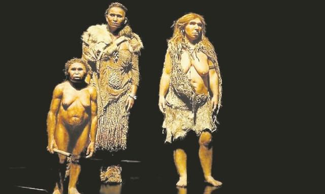 Homo sapiens (50 mil años)