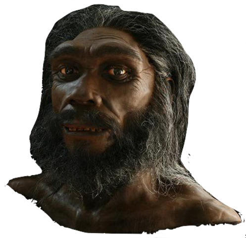 Homo Heidelbergenesis