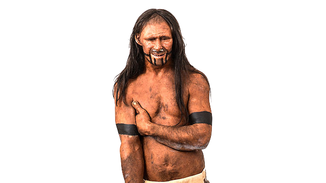 Homo sapiens sapiens