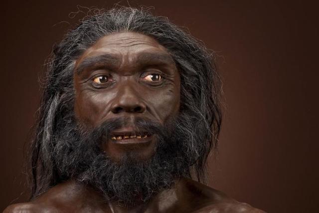 Homo heidelbergensis (500.000 - 250.000 m.a)