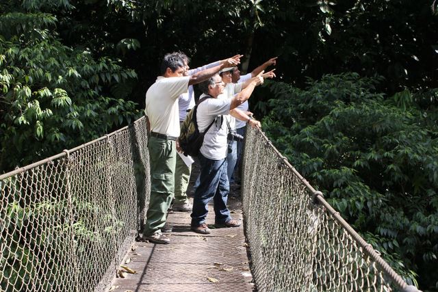 Ceballos Lascuarain tiene una definicion mas adoptada de ecoturismo