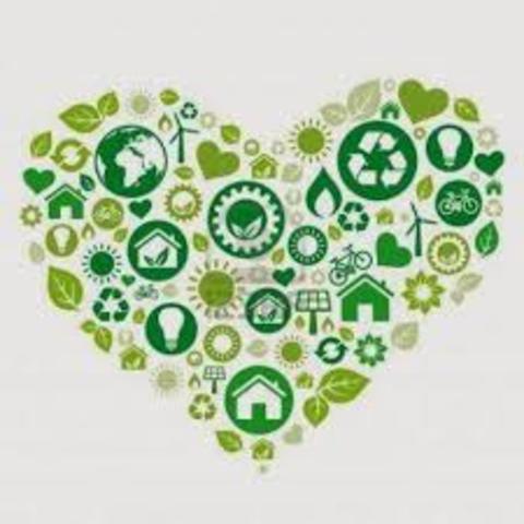 Jackson establece que la literatura que aborda al ecoturismo esta dividida en dos escuelas de pensamientos