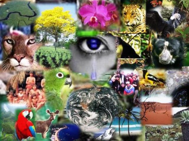 Ross y Wall presentan un modelo en el que el análisis se centra en las relaciones que guardan las comunidades locales la diversidad biológica y el turismo