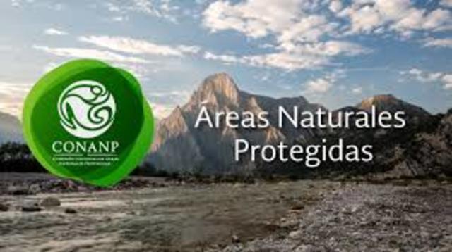 Pedersen señala que el ecoturismo considera la protección de áreas naturales
