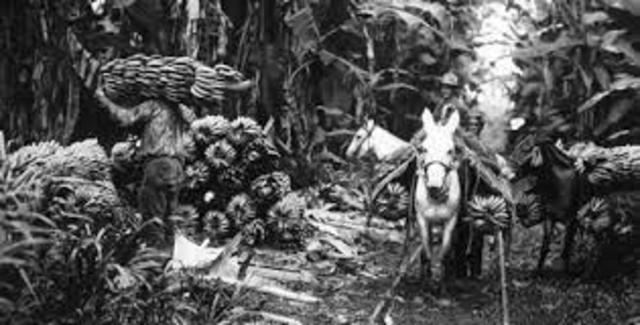 «cuadrilla de malhechores»