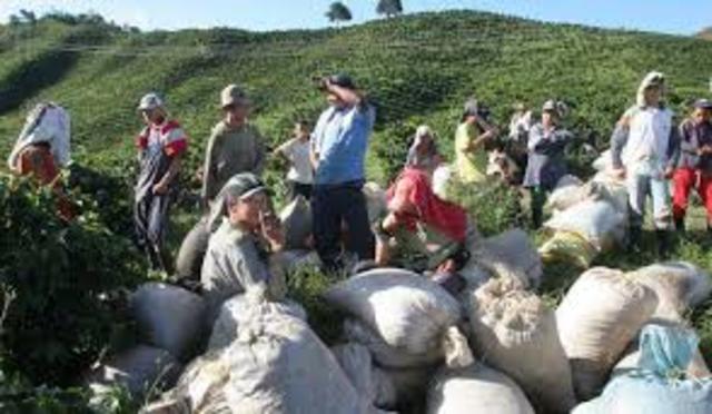 Actitud defensiva del campesinado.