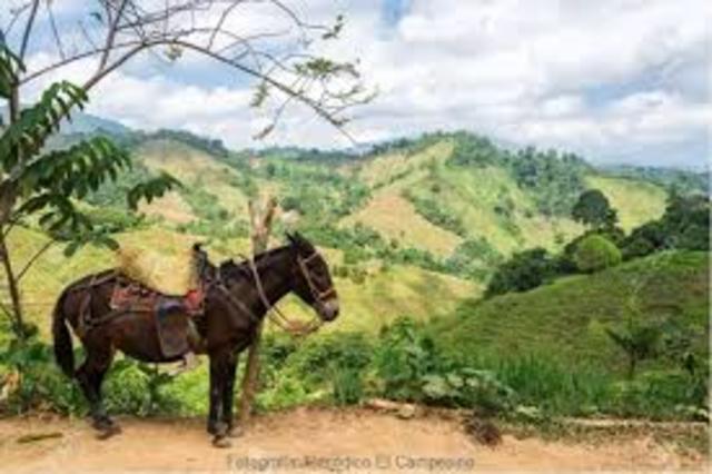 Distribución gratuita de tierras- Gaitán