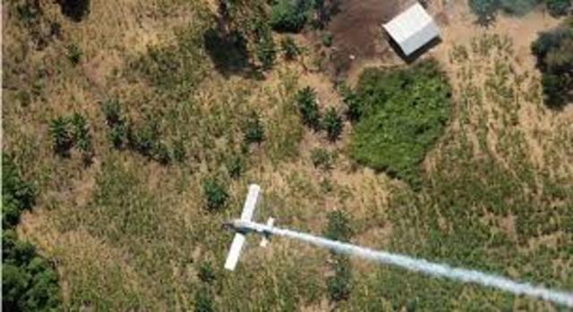 Agresión anti-narcóticos