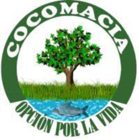 Surgimiento de Organizaciones Étnico Territoriales