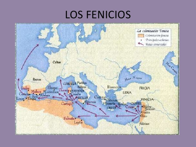 FENICIA