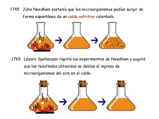 DEBATE SOBRE GENERACIÓN  ESPONTÁNEA
