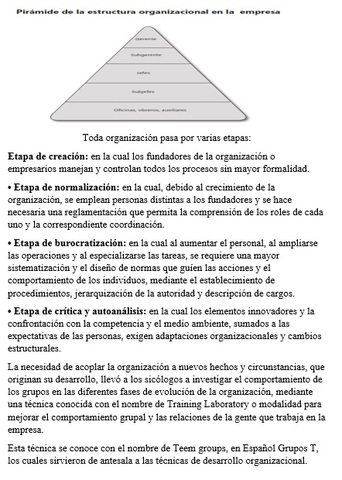 El Desarrollo Organizacional y Cambio Estratégico