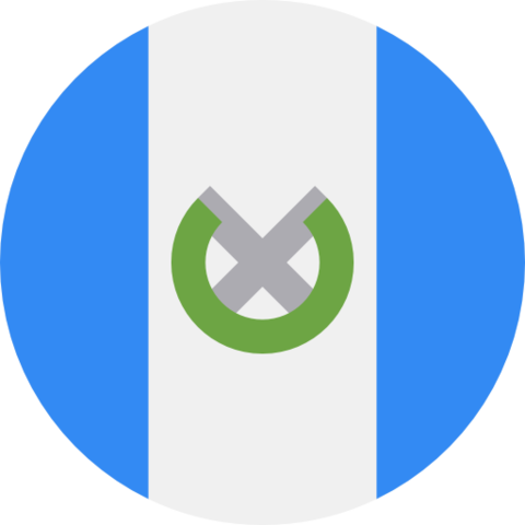 Compromiso OEA, Guatemala