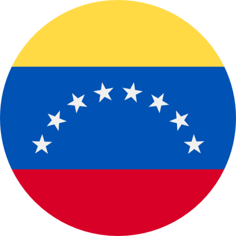 Misión de Observación Electoral, Venezuela