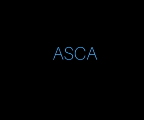 American School Counselor Association (ASCA)