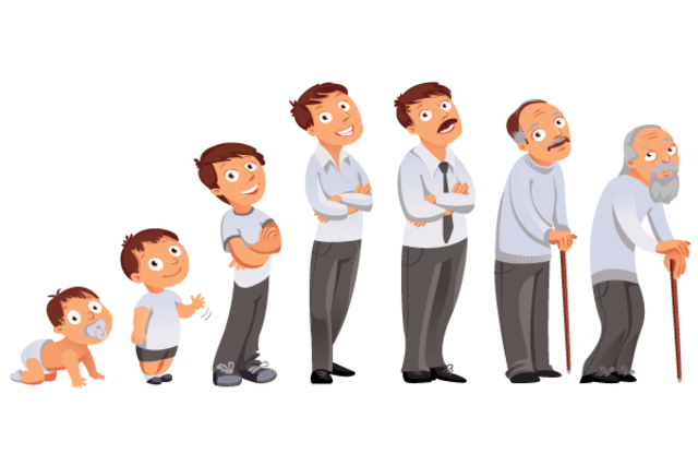 Etapas del desarrollo humano