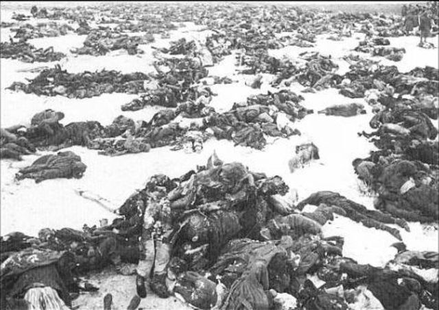 Slaget ved Stalingrad