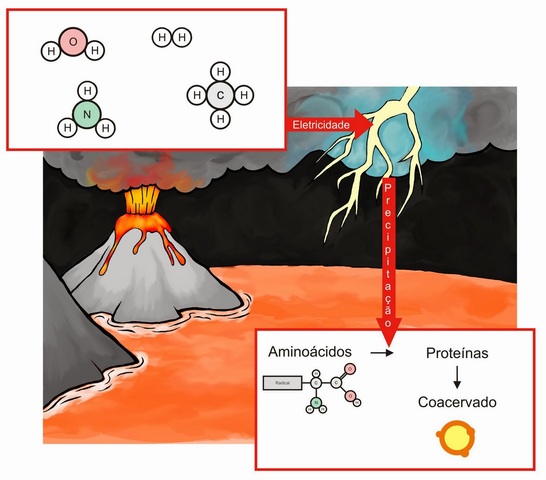 Teoria da Evolução Química