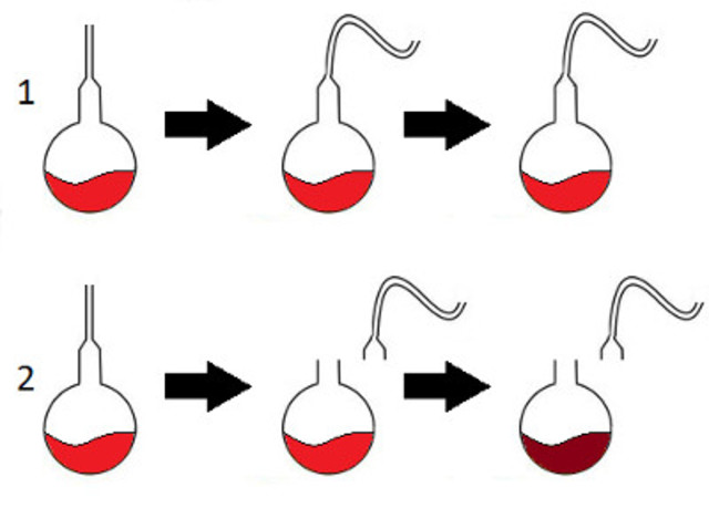 Experimento de pasteur
