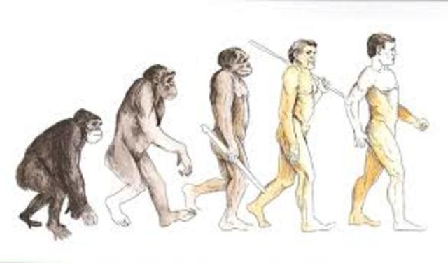 Teoria da evolução