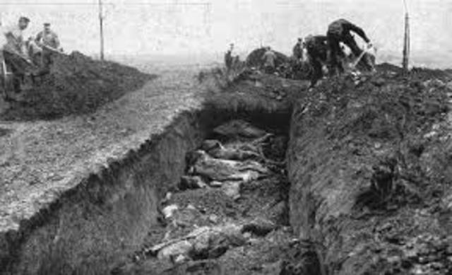 Escasez de comida y combustible.