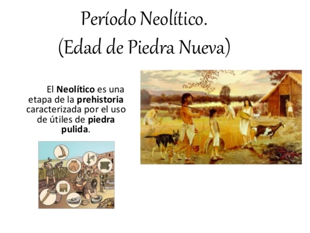 Edad de Piedra - Neolítico