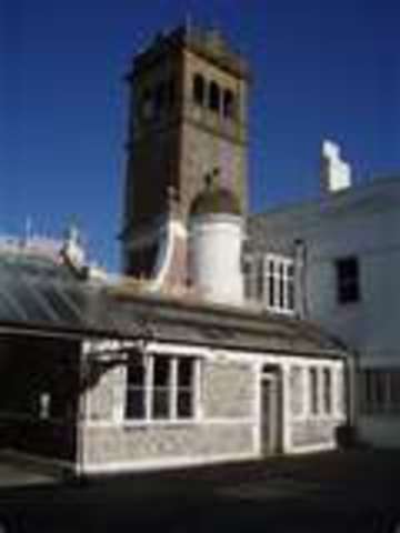 Go to college/ or vet school