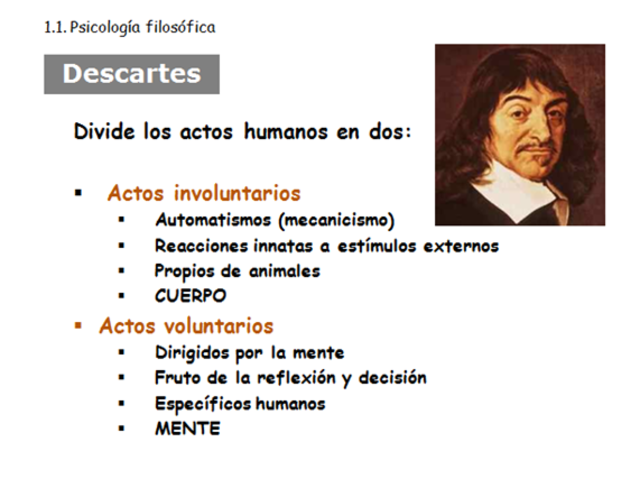 Descartes- Diferencia entre comportamiento humano y animal